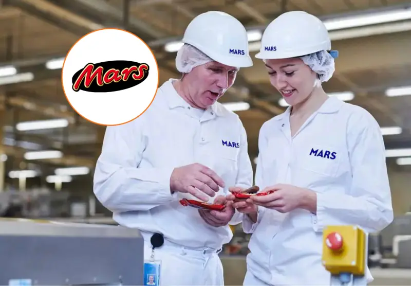 Пакувальник шоколадної продукції MARS — 1