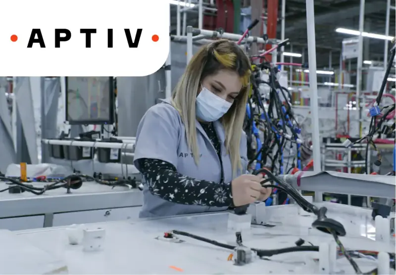 Сборщик автомобильных кабелей APTIV (Сынниколау-Маре, Инеу)