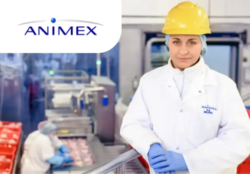 Цех переработки мяса на предприятии Animex